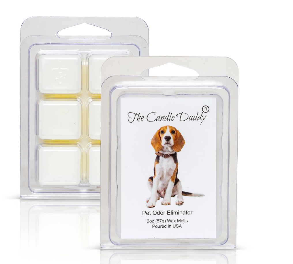BEAGLE DOG - The Candle Daddy 
