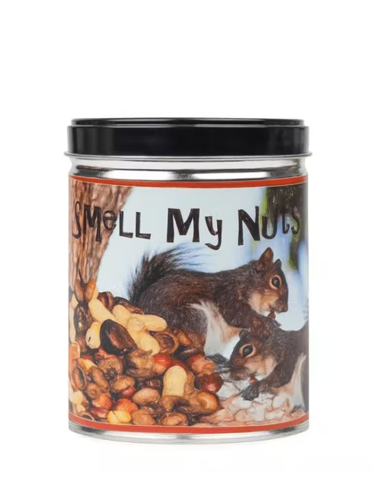 SMELL MY NUTS TIN Candle - Our Own Candle Company